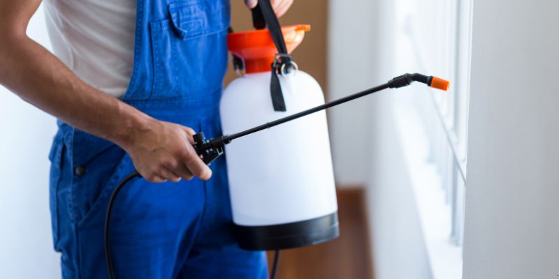 Como Fazer Dedetização em Casa em Carapicuíba: 4 Dicas Simples Como fazer dedetização em casa em Carapicuíba