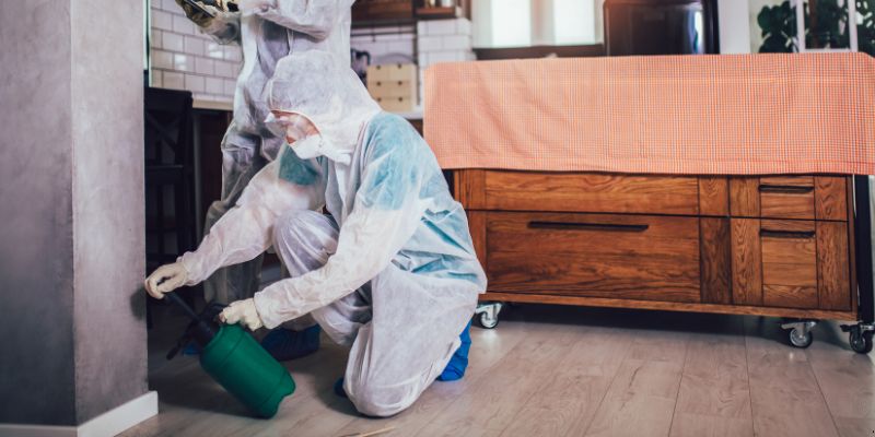 Dedetização em Apartamento Como Funciona em Carapicuíba: Confira 4 Passos Dedetização em Apartamento Como Funciona em Carapicuíba: Confira 4 Passos