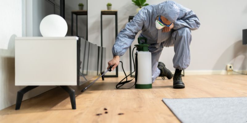 Quanto tempo dura uma dedetização em Carapicuíba?